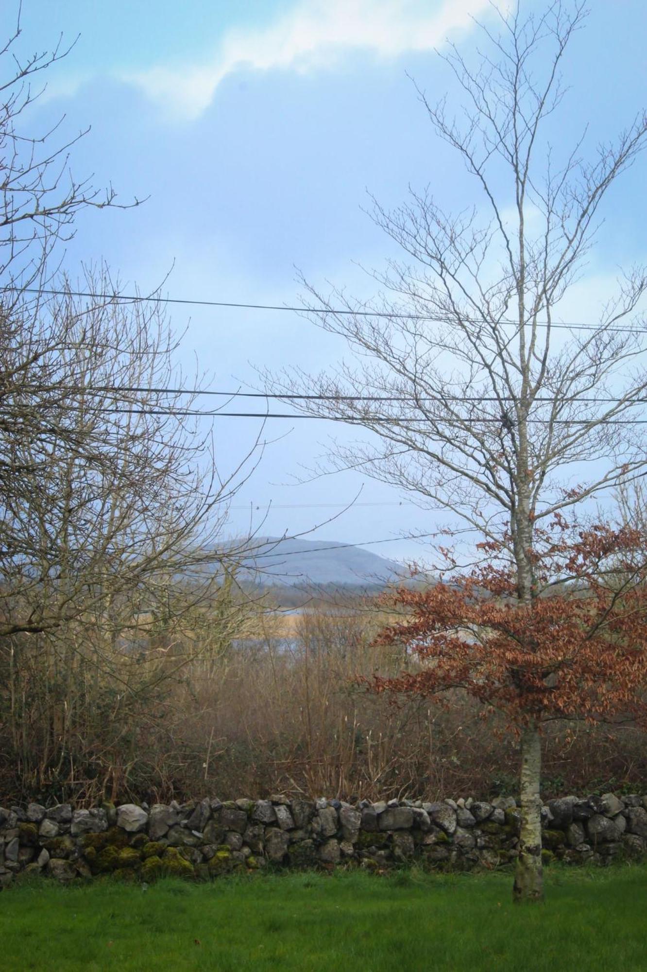 Riverside Cottage In The Burren Corofin  Екстер'єр фото